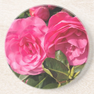 Dessous De Verre En Grès Fleurs de Camellia rose foncé