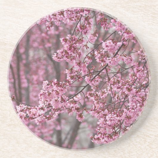 Dessous De Verre En Grès Fleurs de cerisier Sakura rose flottant (Devant)