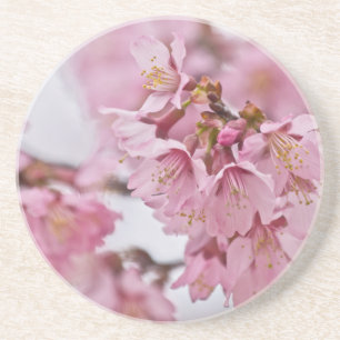 Dessous De Verre En Grès Fleurs de cerisier Sakura rose pâle