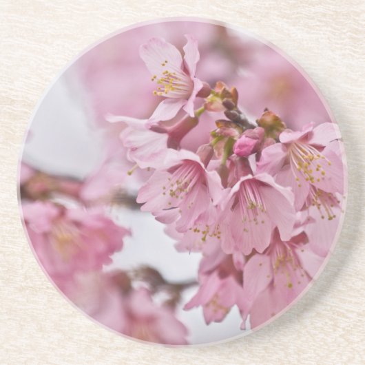 Dessous De Verre En Grès Fleurs de cerisier Sakura rose pâle (Devant)