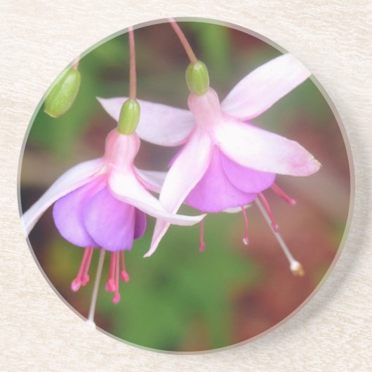 Dessous De Verre En Grès Fleurs de Fuschia (Devant)