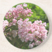 Dessous De Verre En Grès Fleurs de lauriers roses en fleurs (Devant)