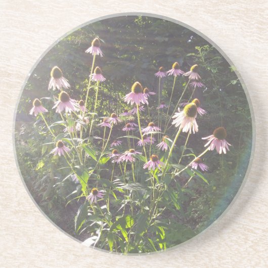 Dessous De Verre En Grès Fleurs d'échinacée au soleil (Devant)