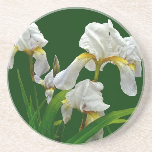 Dessous De Verre En Grès Fleurs d'Iris à poils blancs (Devant)
