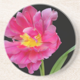 Dessous De Verre En Grès Fleurs Fleuris Fête de Naissance Félicitations Amo
