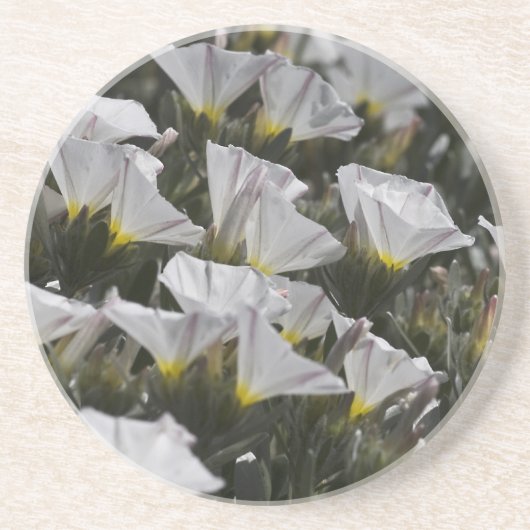 Dessous De Verre En Grès Fleurs sauvages blancs (Devant)