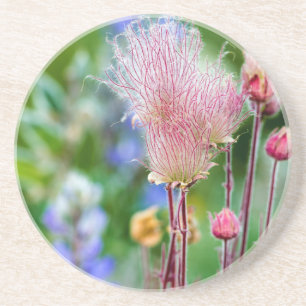Dessous De Verre En Grès Fleurs sauvages Prairie Smoke dans le bosquet d'as