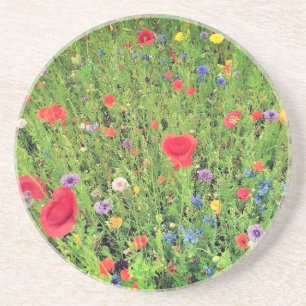 Dessous De Verre En Grès Fleurs sauvages Printemps Photo Sandstone Drink De