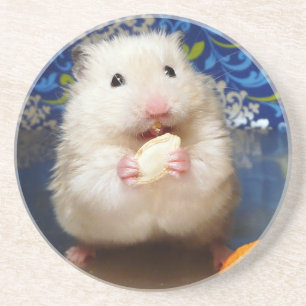 Dessous De Verre En Grès Fluffy Syrian Hamster Kokolinka