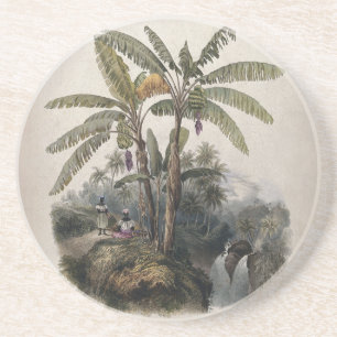Dessous De Verre En Grès Forêt tropicale antique de bananiers   Bota vintag