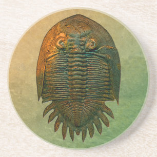 Dessous De Verre En Grès Fossile Trilobite de Neometacanthus