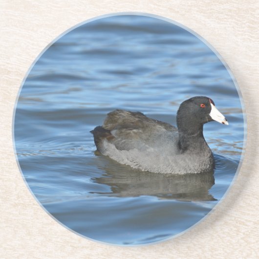 Dessous De Verre En Grès Foulque d'Amérique (Devant)