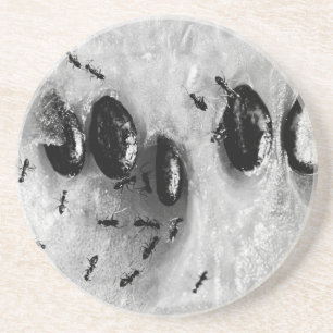 Dessous De Verre En Grès fourmis faisant du surf