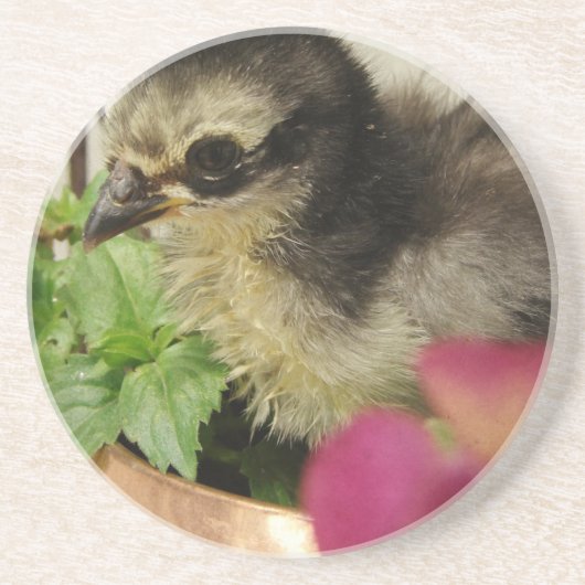 Dessous De Verre En Grès Frizzle Chick (Devant)