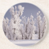 Dessous De Verre En Grès Frost a couvert les arbres et la barrière, le (Devant)