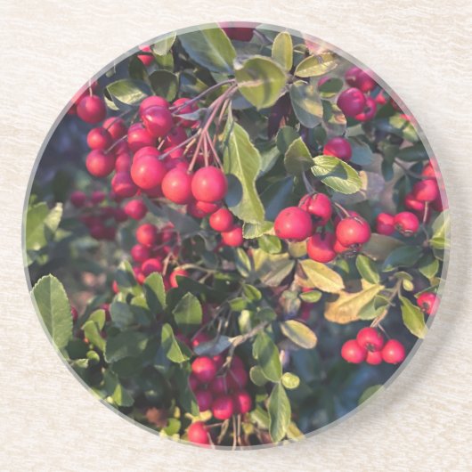 Dessous De Verre En Grès Fruit d'automne (Devant)