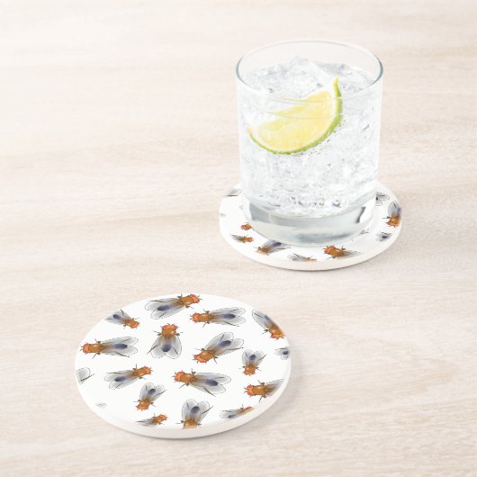 Dessous De Verre En Grès Fruit - Drosophila melanogaster (Côté)