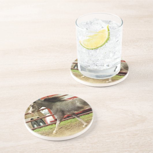 Dessous De Verre En Grès Galeries Mini Pinto Horse (Côté)