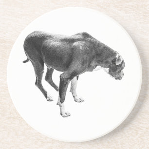 Dessous De Verre En Grès Gardien de table d'automne