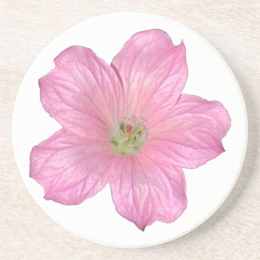 Dessous De Verre En Grès Géranium rose (Devant)