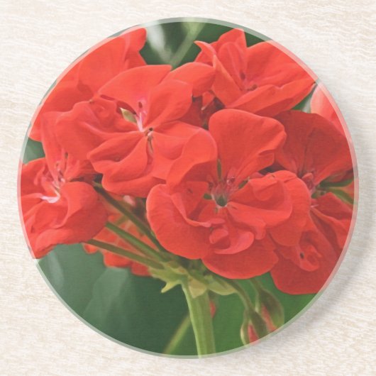 Dessous De Verre En Grès Géranium rouge (Devant)