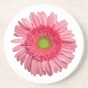 Dessous De Verre En Grès Gerbera Rose Daisy