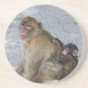 Dessous De Verre En Grès Gibraltar Monkeys coaster