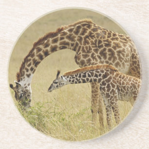 Dessous De Verre En Grès Girafe Masai mère et bébé, Giraffa