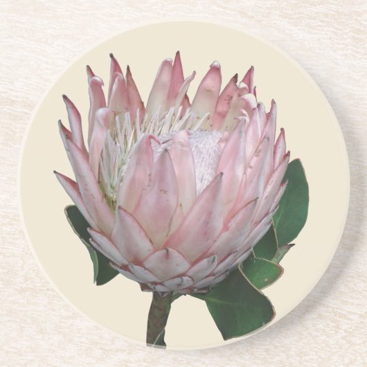 Dessous De Verre En Grès Glace à la fleur de protea (Devant)