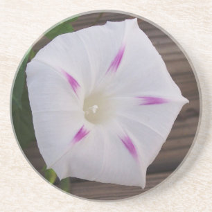 Dessous De Verre En Grès Glory White du matin