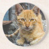 Dessous De Verre En Grès Golden Eyes (Devant)