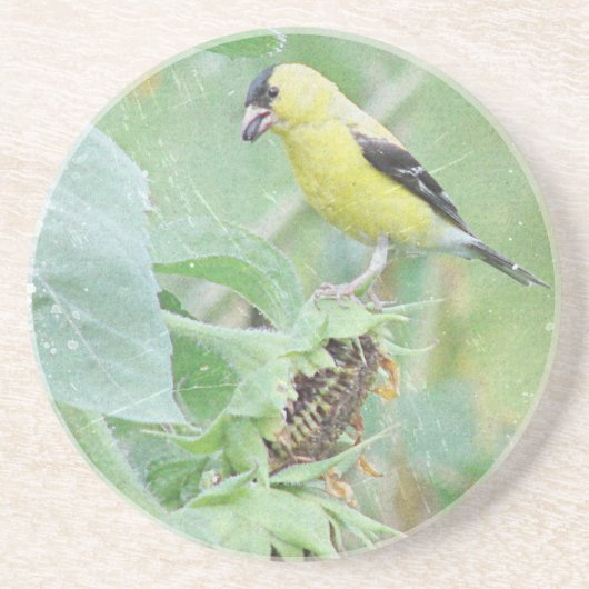 Dessous De Verre En Grès Goldfinch Grunge (Devant)