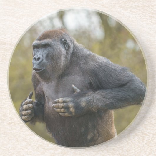 Dessous De Verre En Grès Gorille de la balle dans la poitrine (Devant)