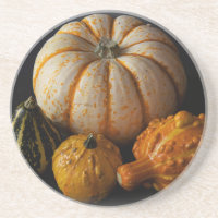 Gourds & Citrouille Vignette