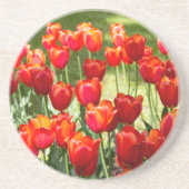 Dessous De Verre En Grès Grand champ de tulipes rouges (Devant)