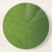 Dessous De Verre En Grès Green leaf (Devant)