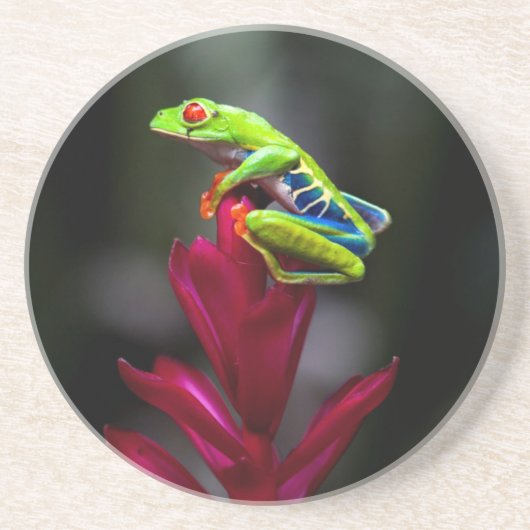 Dessous De Verre En Grès Grenouille aux yeux rouges (Devant)