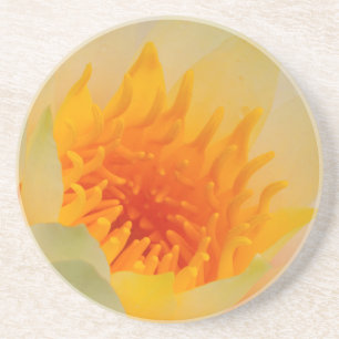 Dessous De Verre En Grès Gros plan d'un nénuphar
