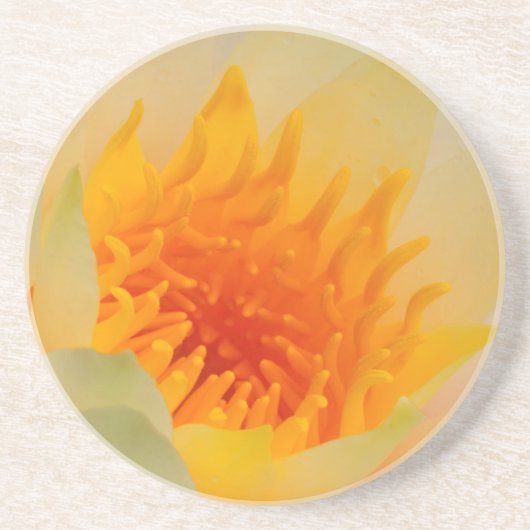 Dessous De Verre En Grès Gros plan d'un nénuphar (Devant)