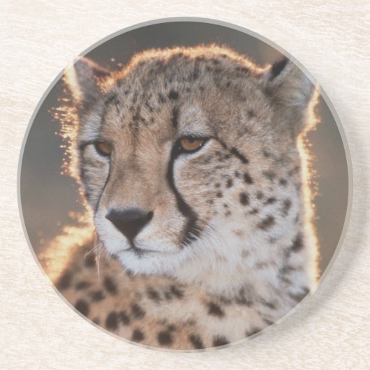 Dessous De Verre En Grès Guépard regard détourné (Devant)