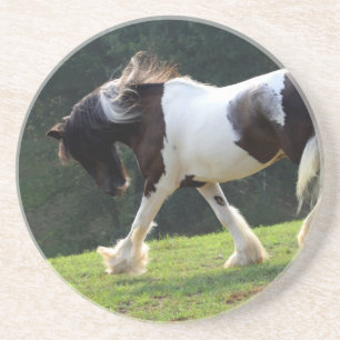 Dessous De Verre En Grès Gypsy Vanner