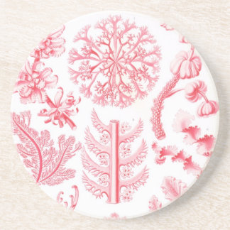 Dessous De Verre En Grès Haeckel