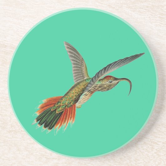 Dessous De Verre En Grès Haeckel Bird (Devant)