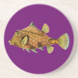Dessous De Verre En Grès Haeckel Fish