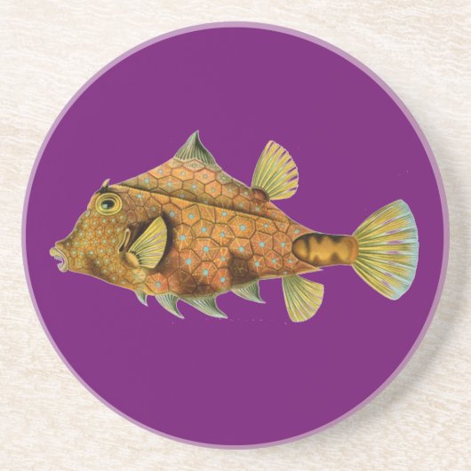 Dessous De Verre En Grès Haeckel Fish (Devant)