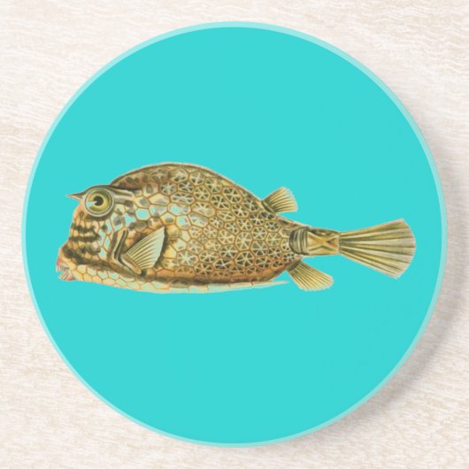 Dessous De Verre En Grès Haeckel Fish (Devant)
