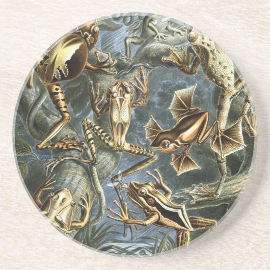 Dessous De Verre En Grès Haeckel Frogs (Devant)