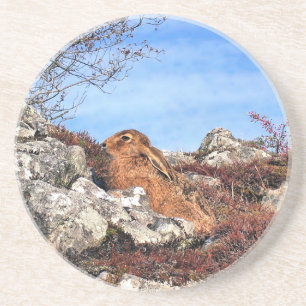 DESSOUS DE VERRE EN GRÈS HARE