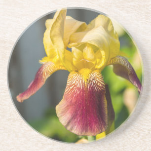 Dessous De Verre En Grès Heirloom Iris