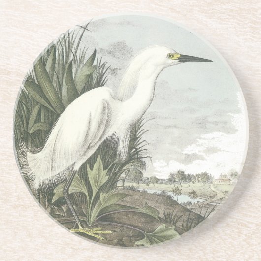 Dessous De Verre En Grès Héron de Milou, John Audubon (Devant)